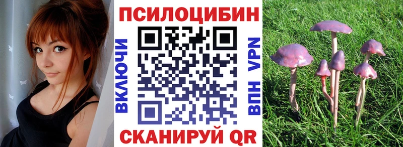 Псилоцибиновые грибы мухоморы Кубинка