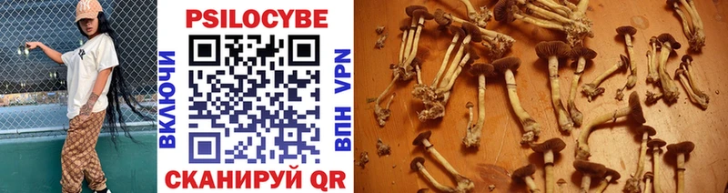 kraken как зайти  Кубинка  Галлюциногенные грибы Psilocybine cubensis  где купить  